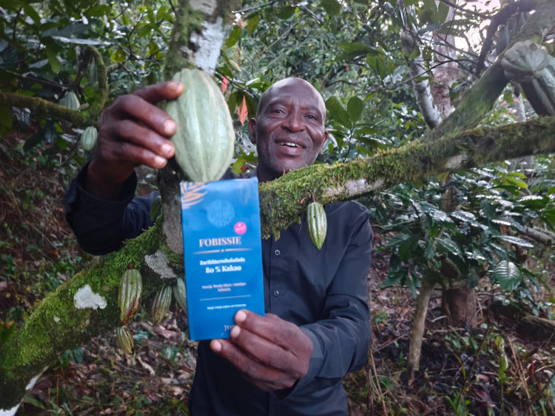 Kakaobohnen aus Kamerun: Natur, Handwerk und purer Genuss
